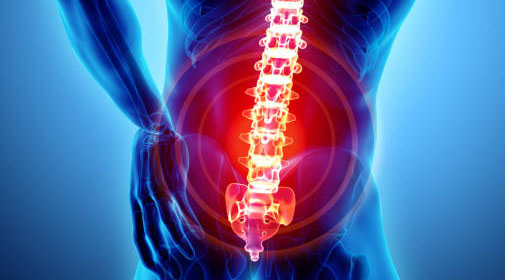 Spine