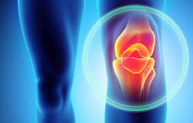 Knee