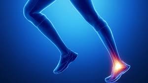 Ankle